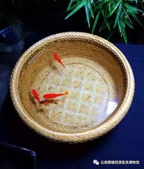 竹编鱼缸价格视频,传统工艺与现代审美的完美融合