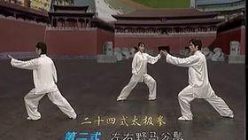 24太极拳视频,轻松入门，养生保健之道