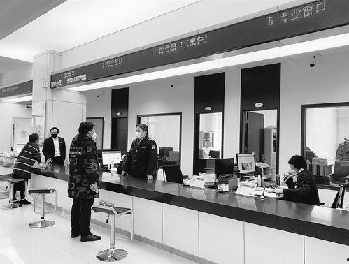 七次狼视频在线,揭秘神秘狼族传奇，探寻未知力量之谜