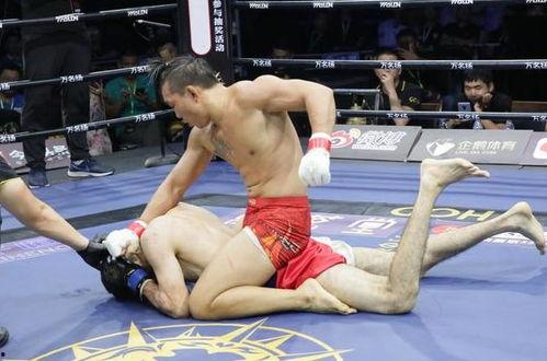 勇士的荣耀8直播视频,热血对决，荣耀再续