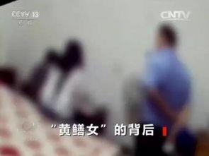 黄鳝门在线完整视频,事件始末与背后真相