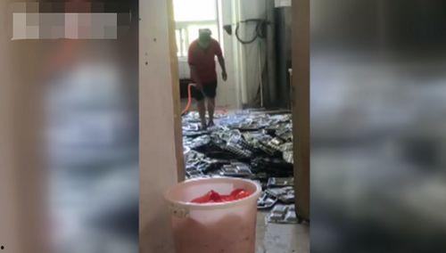 正反洗视频,科技与伦理的较量