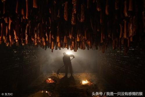 借命视频,揭秘生死边缘的惊险瞬间