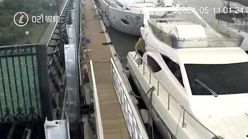 开游艇视频,揭秘开游艇的极致体验之旅