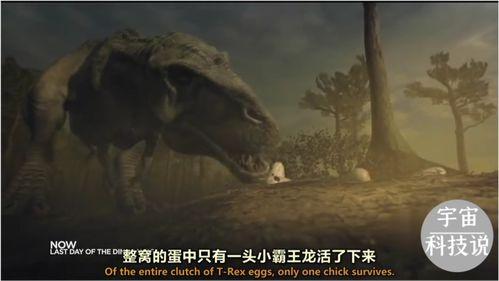 恐龙是怎么消失的视频